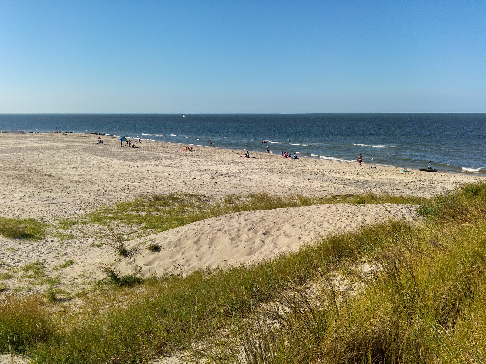 Photo of Little Creek beach with turquoise pure water surface