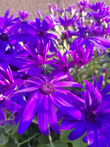 Supermarket «Weis Markets», reviews and photos, 10 Village Center Rd, Reisterstown, MD 21136, USA