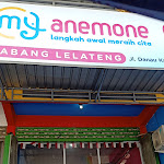 Review Anemone Lelateng