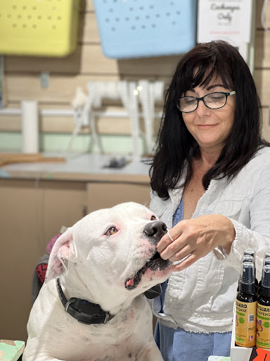 Department Store «Sporty Seahorse Shop», reviews and photos, 362 Periwinkle Way # 7, Sanibel, FL 33957, USA