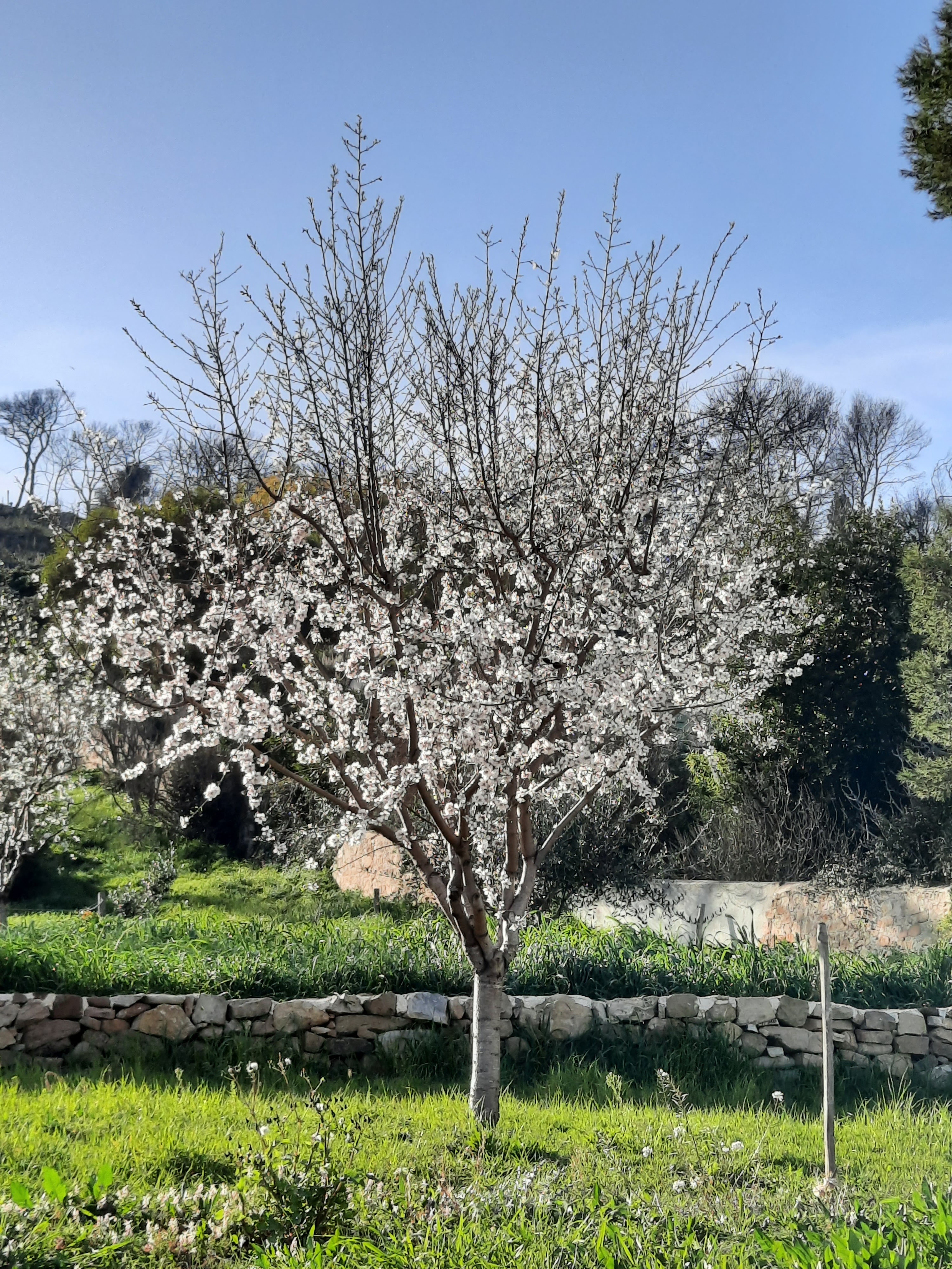 Photo n° 10 de l'avis de Elle.a fait le 26/02/2021 à 16:58