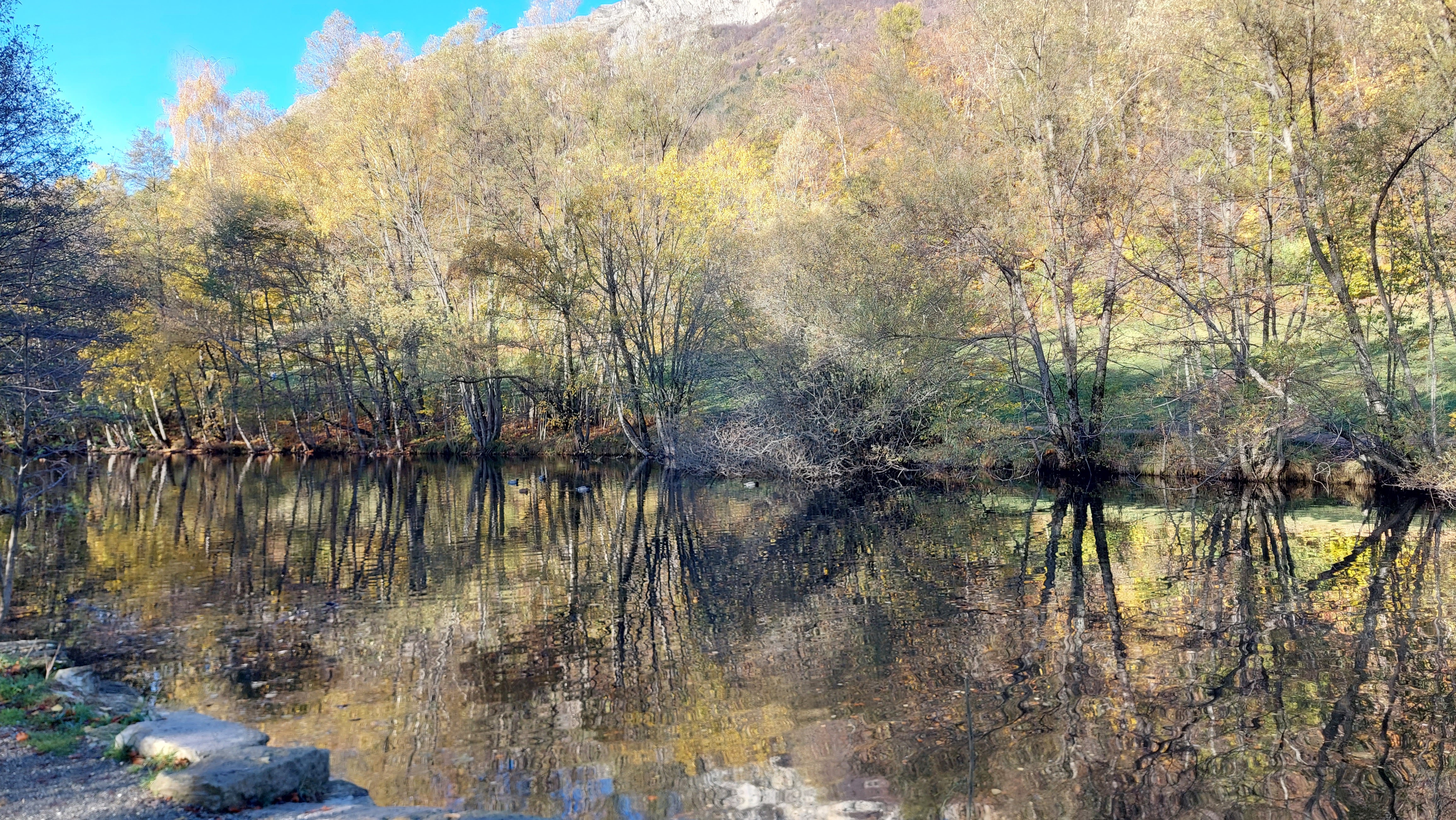 Photo n° 15 de l'avis de Didier.a fait le 18/11/2022 à 16:48