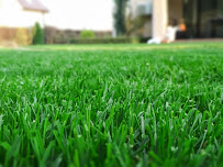Green Thumb Turf & Tick - Photo 2 - Car repair in , Leominster