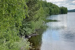 Natur rastplats barken image