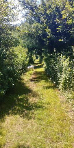 Park «Forge Pond Park», reviews and photos, 245 King St, Hanover, MA 02339, USA