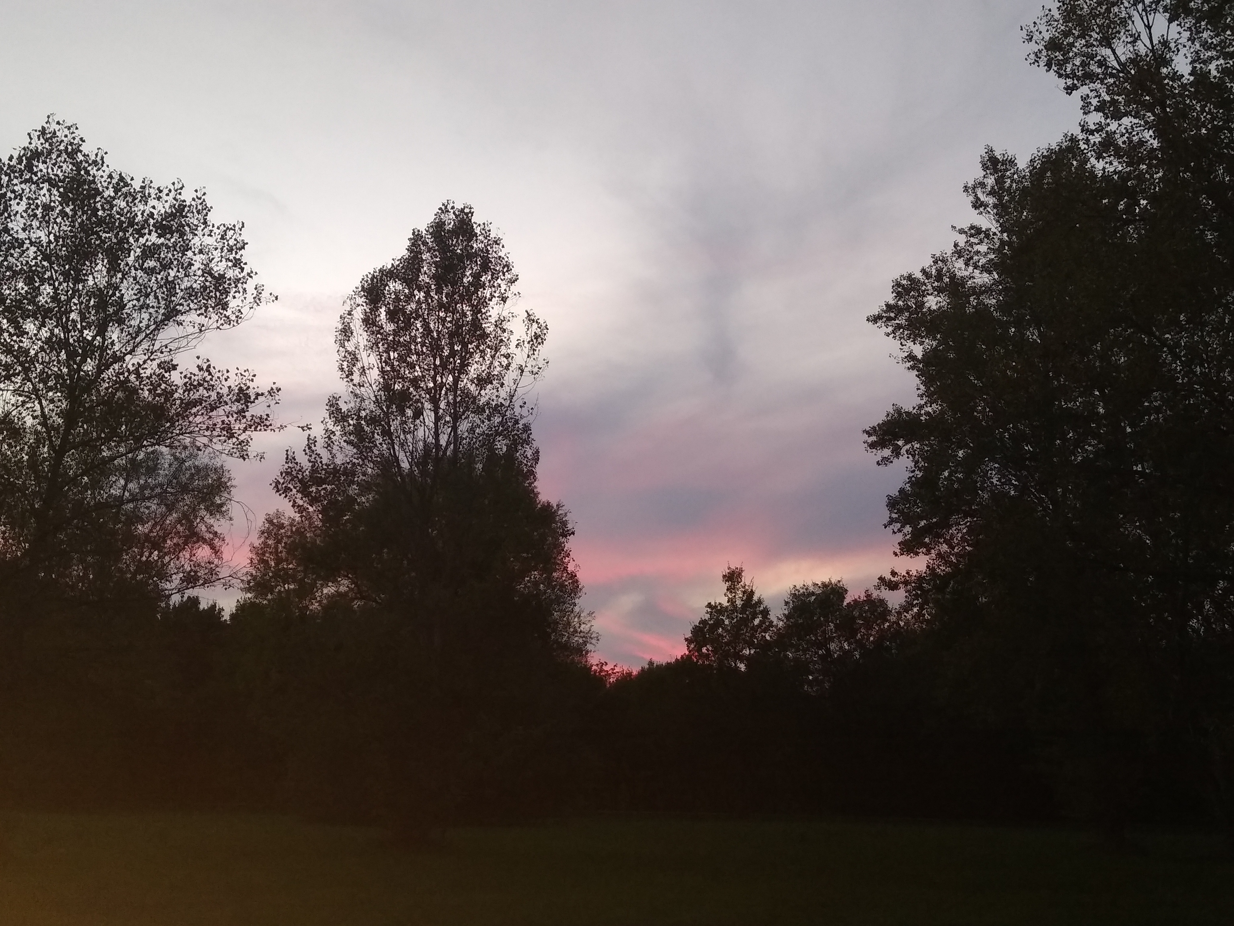 Photo n° 19 de l'avis de Cahrla.l fait le 08/10/2020 à 18:42