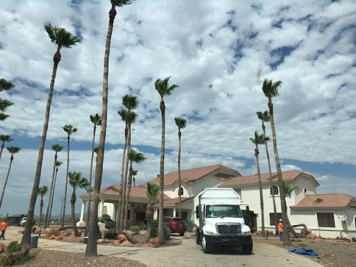 Peoria AZ Tree and Hardscape Co