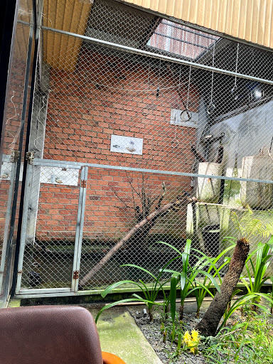 Top 20 cửa hàng cá koi Huyện Kiến Thụy Hải Phòng 2022