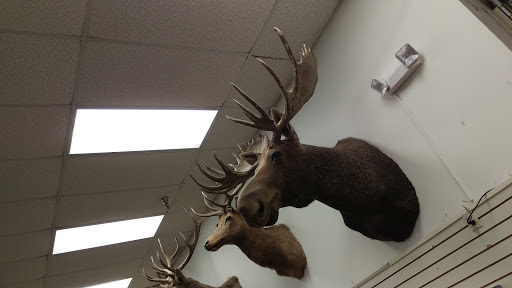 Sporting Goods Store «Kames Sports», reviews and photos, 8516 Cleveland Ave NW, North Canton, OH 44720, USA