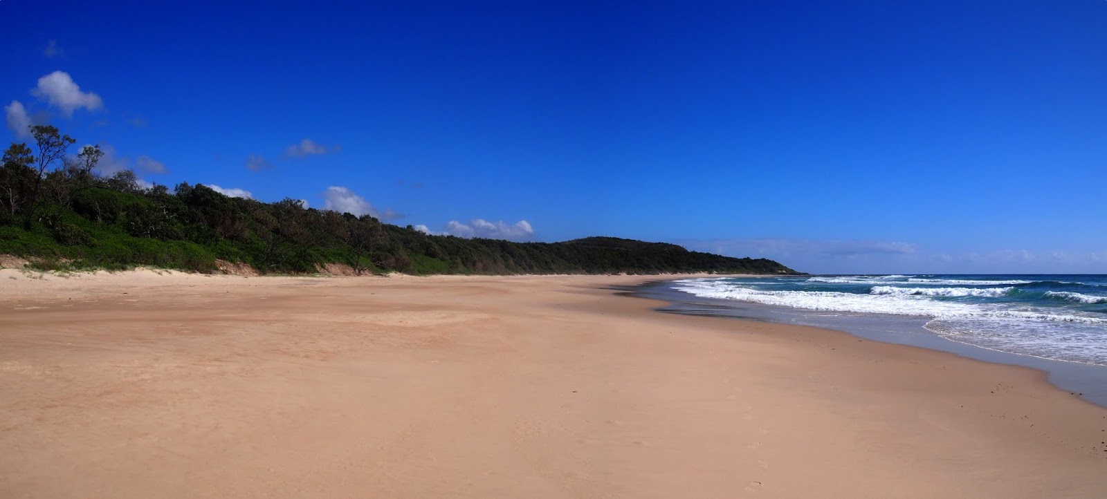 Fotografija Little Shelley Beach z svetel pesek površino