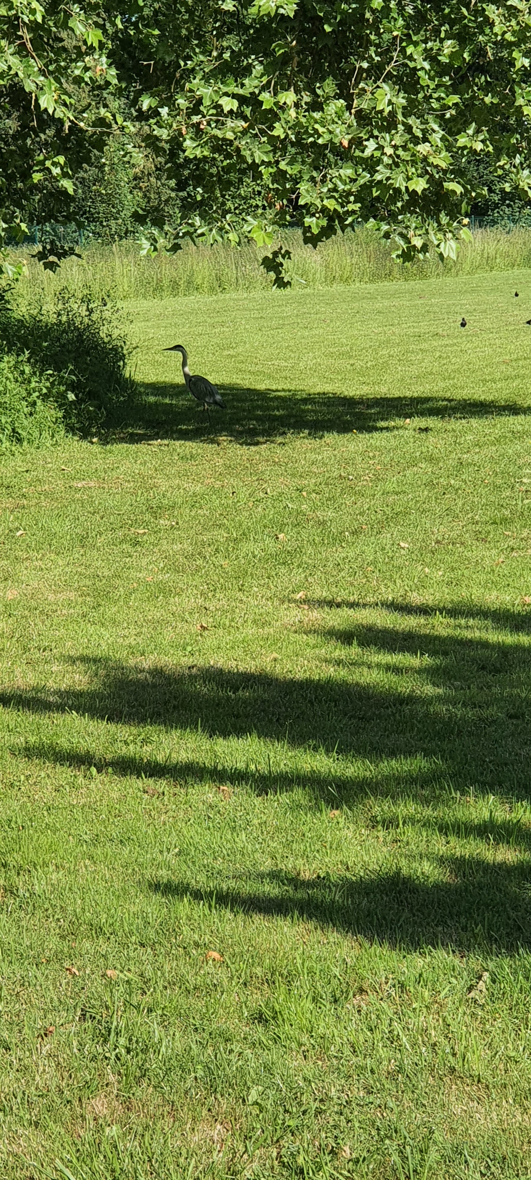 Photo n° 1 de l'avis de Pascal.t fait le 30/05/2022 à 13:23