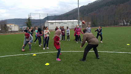 Erfelek İlçe Stadı