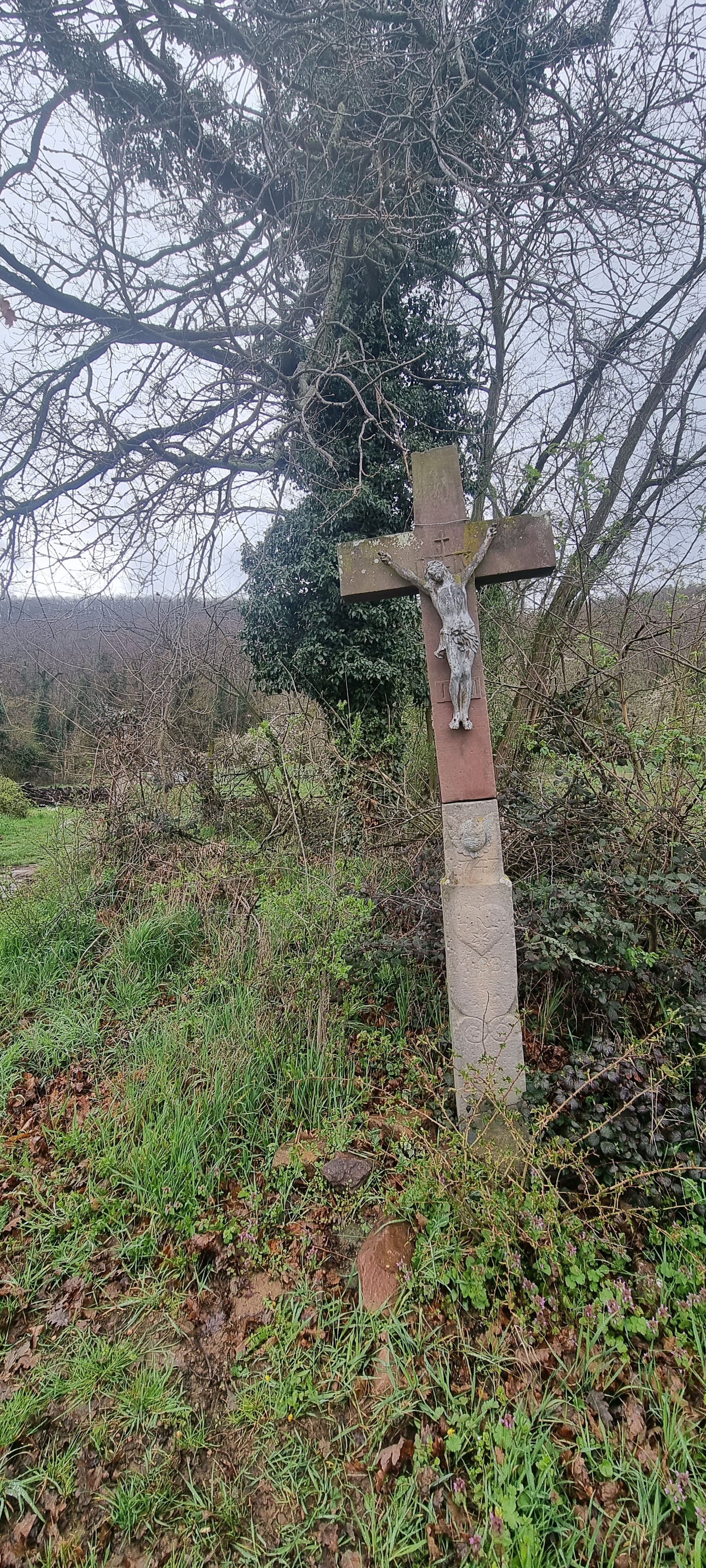 Photo n° 1 de l'avis de Laugal.a fait le 05/04/2023 à 17:49