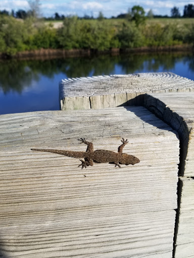 Nature Preserve «Robinson Preserve», reviews and photos, 9800 Manatee Ave W, Bradenton, FL 34209, USA