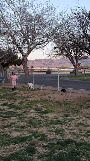 Park «Lewis Kingman Park», reviews and photos, 2201 E Andy Devine Ave, Kingman, AZ 86401, USA