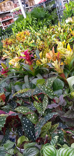 Home Improvement Store «The Home Depot», reviews and photos, 7001 Crestwood Blvd #1300, Birmingham, AL 35210, USA