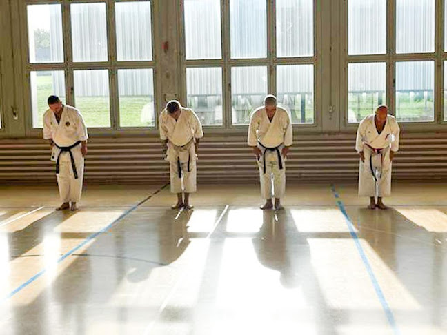 Rezensionen über Karateschule SEISHIN in Emmen - Fitnessstudio