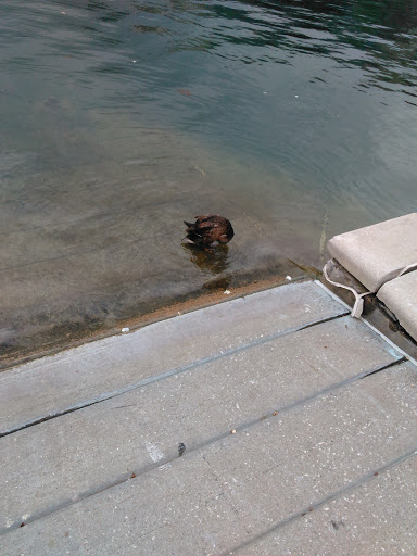 Wedding Venue «CANAL 337», reviews and photos, 337 W 11th St, Indianapolis, IN 46202, USA