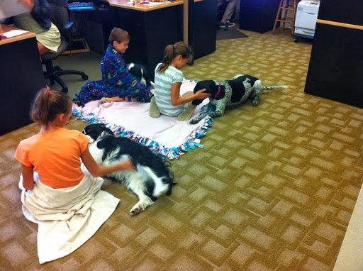 Adoption Agency «Kirsh & Kirsh, P.C. - Indiana Adoption», reviews and photos