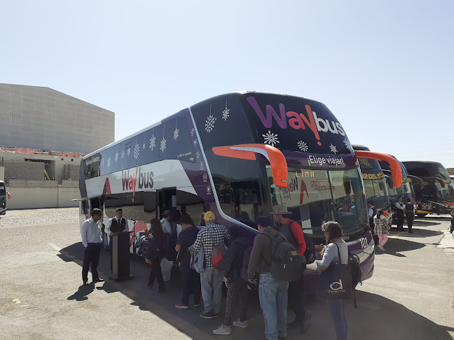 Transportes way bus - Servicio de transporte