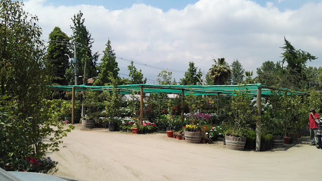 Opiniones de Soc Agricola El Ingenio Limitada en Lo Barnechea - Centro de jardinería