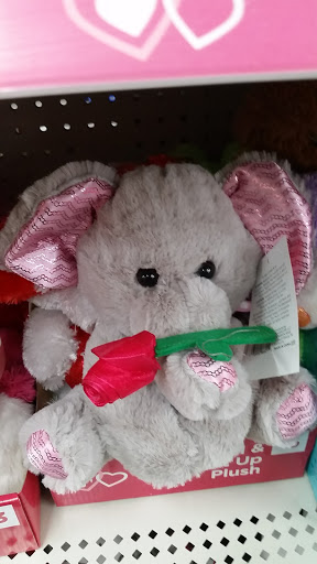 Discount Store «Dollar General», reviews and photos, 101 N State St, Lizton, IN 46149, USA