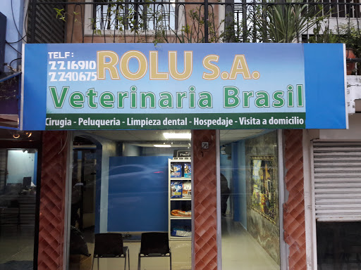 VETERINARIA BRASIL PARQUE LEFEVRE