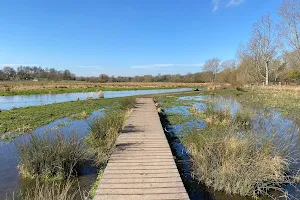 Marston Marsh image