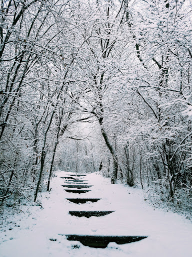 Nature Preserve «Volo Bog», reviews and photos, 28478 W Brandenburg Rd, Ingleside, IL 60041, USA