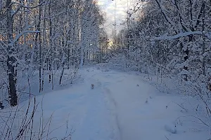 Природный заказник "Северный" image