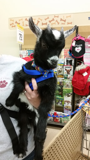 Pet Supply Store «Petco Animal Supplies», reviews and photos, 5631 Grove Blvd, Hoover, AL 35226, USA