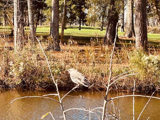 Golf Course «Ocean City Golf Club», reviews and photos