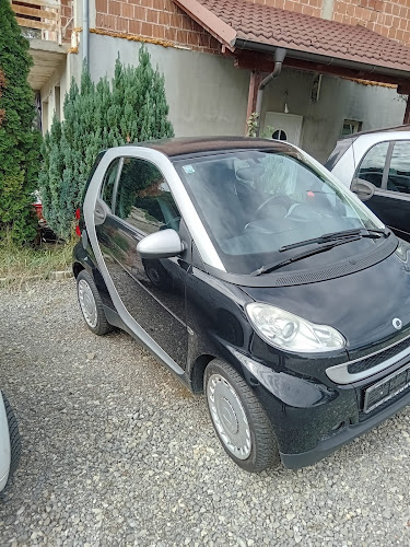 Smart Horvat Autoservis Prodaja Popravci - Zagreb