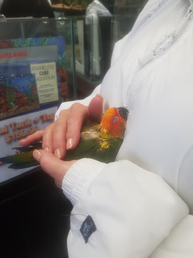 Pet Store «WorldWide Fish & Pets», reviews and photos, 61 Amity Rd, New Haven, CT 06515, USA