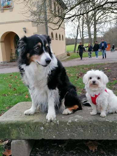 Tierärztliche Praxis Dr. W. Nehls u. Dr. I. Sohn-Nehls unter Weinstadt, Baden Württemberg