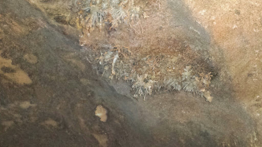 Museum «Ghost Town Museum», reviews and photos, 400 S 21st St, Colorado Springs, CO 80904, USA