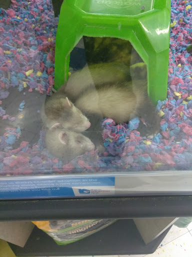 Pet Supply Store «Petco Animal Supplies», reviews and photos, 475 S Wadsworth Blvd, Lakewood, CO 80226, USA