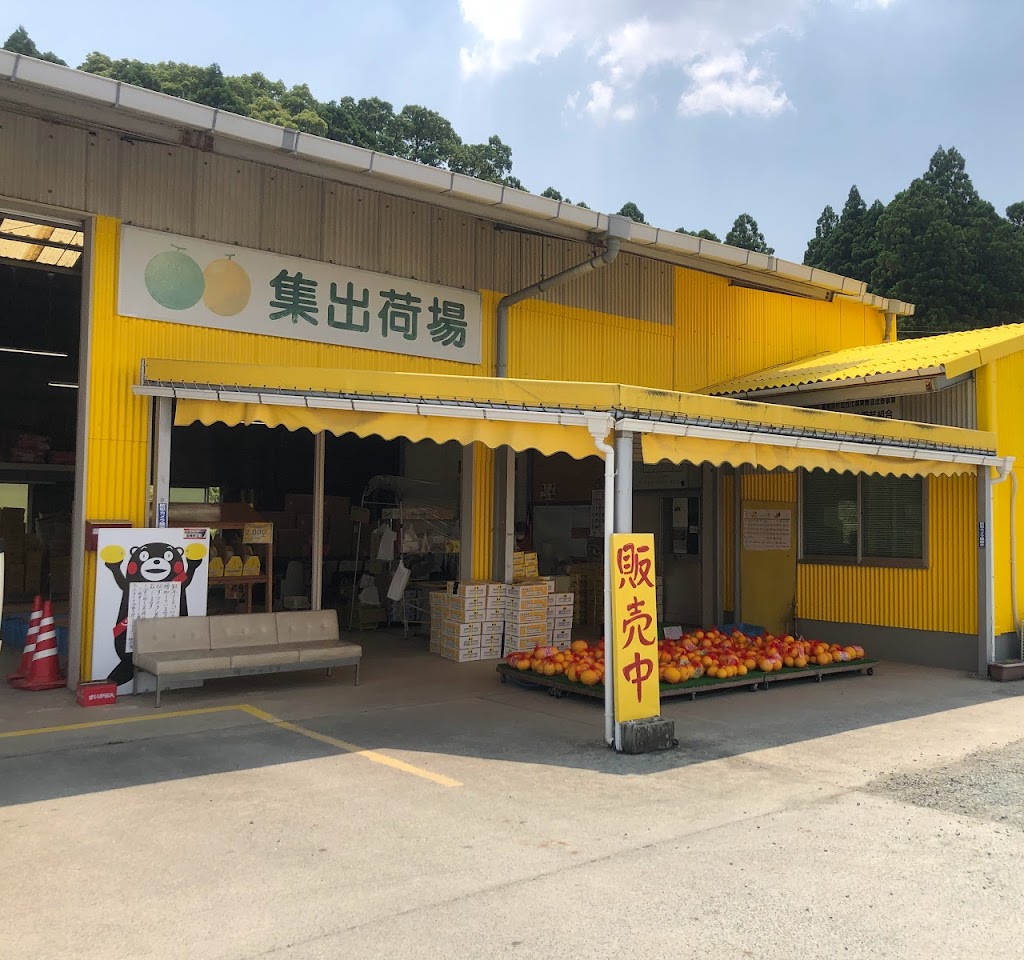 板井園芸組合集荷場