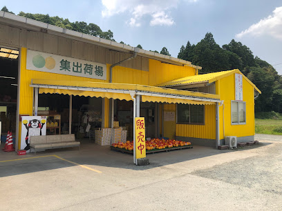 板井園芸組合集荷場