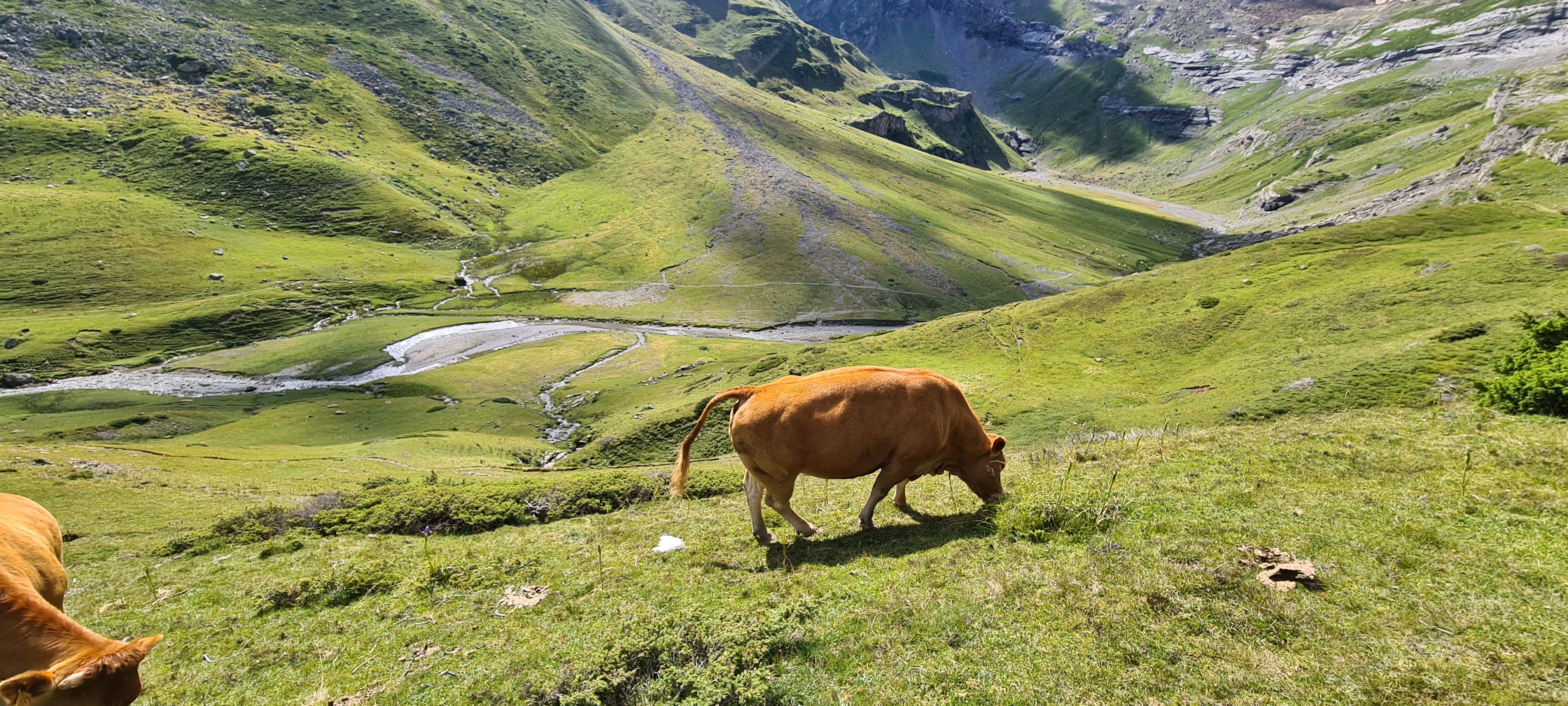 Photo n° 21 de l'avis de Thierry.a fait le 31/07/2022 à 14:26