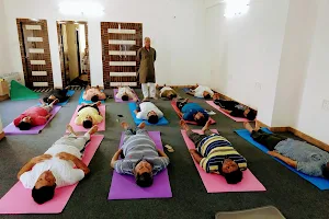 indian institute of yoga image