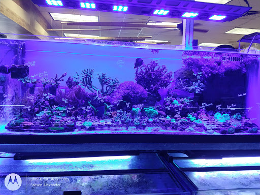 Pet Store «Ark Pet Shop», reviews and photos, 2400 W Lincoln Hwy, Merrillville, IN 46410, USA