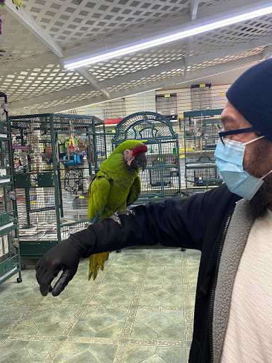 Pet Store «Discount Pet & Supplies», reviews and photos, 16320 Middlebelt Rd, Livonia, MI 48154, USA