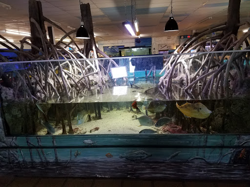 Aquarium «Biomes Marine Biology Center», reviews and photos, 6640 Post Rd, North Kingstown, RI 02852, USA