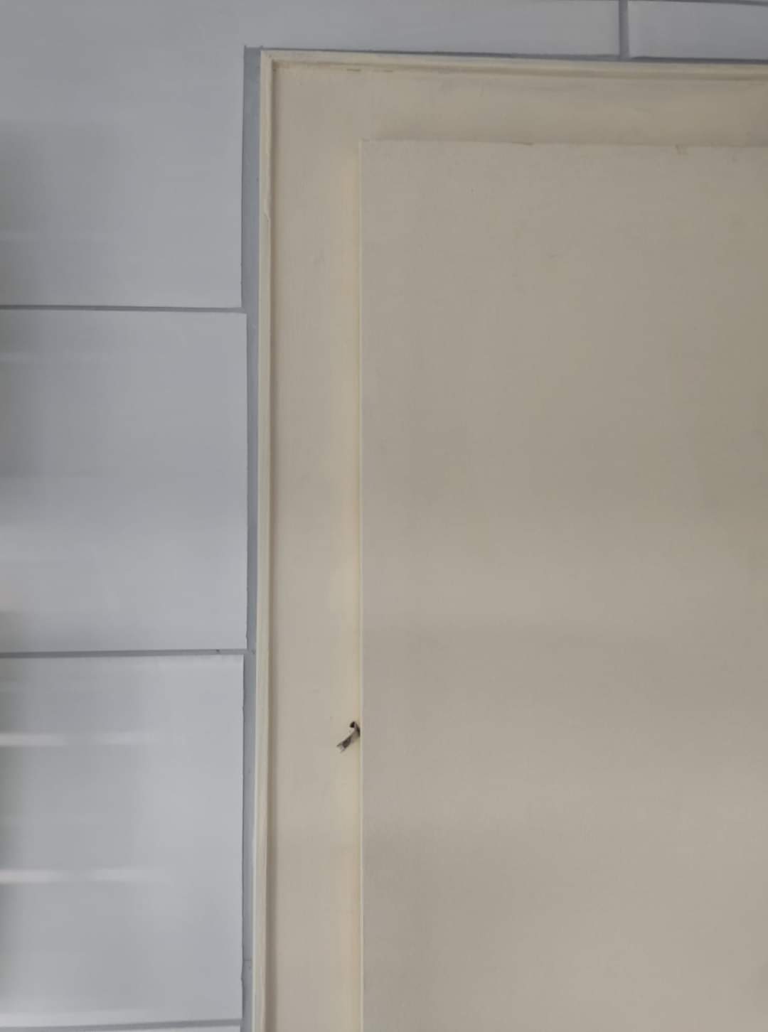 Photo n° 1 de l'avis de Guillian.L fait le 21/03/2022 à 21:49