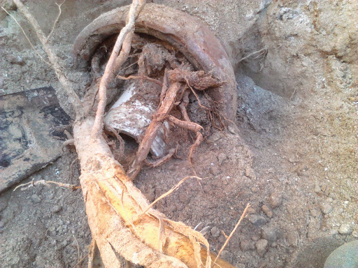 Plumber «Greenlee Plumbing Inc», reviews and photos, 5086 Marsh Creek Ct, Braselton, GA 30517, USA