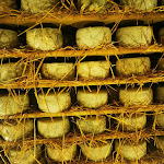 Photo n°1 de l'avis de Claudia.g fait le 15/10/2022 à 19:37 sur le  La Bottega di Canfreo à Lari