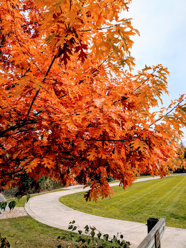 Park «Foege Park», reviews and photos, 125 NW Cedar Hills Blvd, Portland, OR 97229, USA