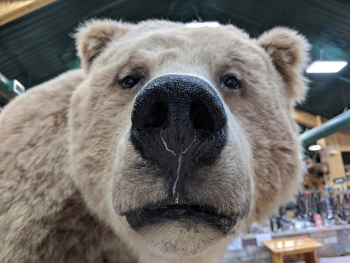 Sporting Goods Store «Midwestern Shooters Supply», reviews and photos, 191 Church St, Lomira, WI 53048, USA