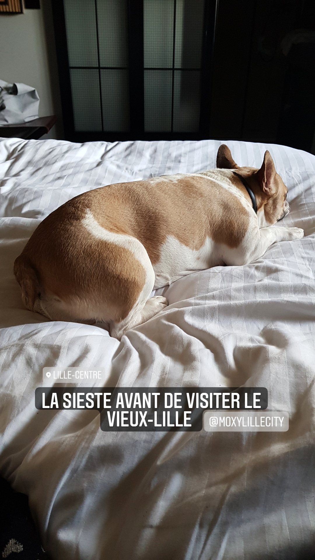 Photo n° 3 de l'avis de Camille.e fait le 19/03/2021 à 19:27
